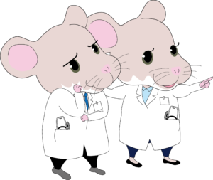 2.フィードバックf→m-300x253