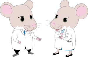 4.コミュニケーションmf-300x194